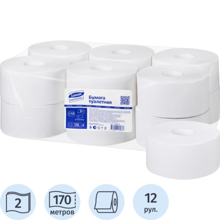 Бумага туалетная д/дисп Luscan Professional 2сл бел втор втул 170м 12рул/уп