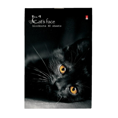 Блокнот КОТЯТА А6 40л на скрепке в ассорт 3-40-110 Д