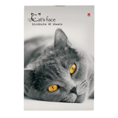 Блокнот КОТЯТА А6 40л на скрепке в ассорт 3-40-110 Д