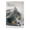 Блокнот КОТЯТА А6 40л на скрепке в ассорт 3-40-110 Д
