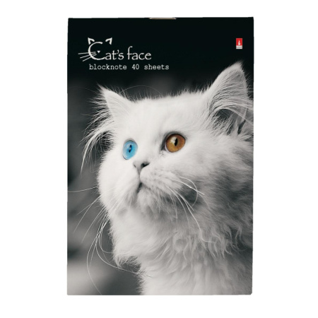 Блокнот КОТЯТА А6 40л на скрепке в ассорт 3-40-110 Д