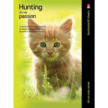 Блокнот КОТЯТА А6 40л на скрепке в ассорт 3-40-110 Д