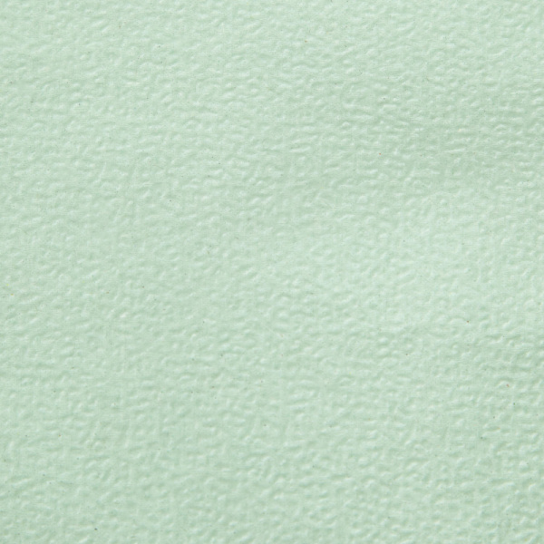 Салфетки бумажные Luscan Profi Pack 1сл24х24пастель салатовые 400 шт/уп