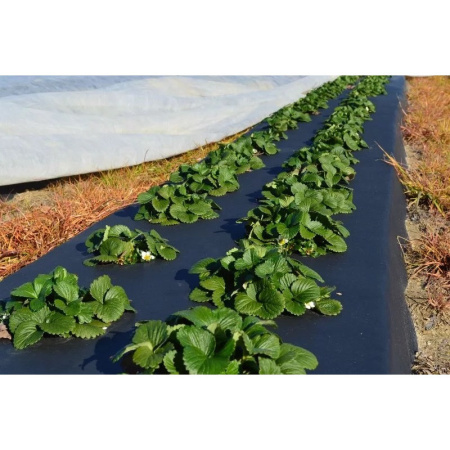 Пленка укрывная рукав ПВД, черная, 2 сорт, 35мкм, 1,8х10м