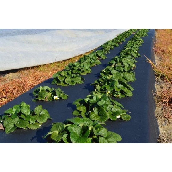 Пленка укрывная рукав ПВД, черная, 2 сорт, 35мкм, 1,8х50м