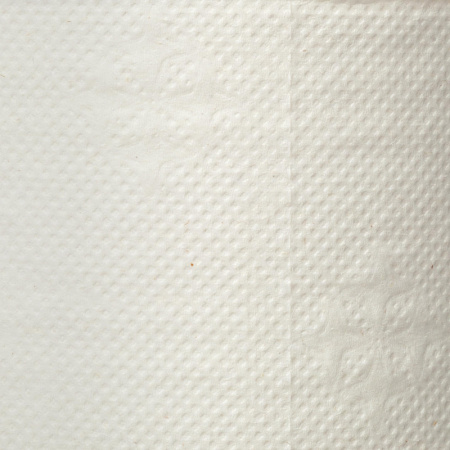 Бумага туалетная д/дисп Luscan Professional 1сл бел цел втул 200м 12рул/уп