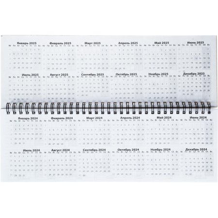 Планинг недатированный с календарем на год,297х100 мм, евроспираль, 54листа