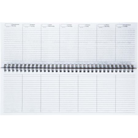 Планинг недатированный с календарем на год,297х100 мм, евроспираль, 54листа