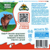 Шоколад Kinder с мол.начинкой, 50г