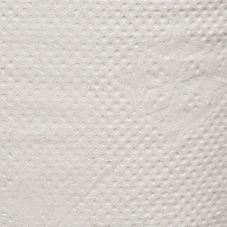 Бумага туалетная д/дисп 1сл сер втор 200ф 12рул/уп 0024А