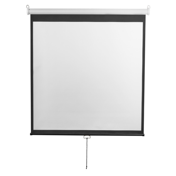 Экран Digis DSOD-1105 настенный 1:1, 200x200