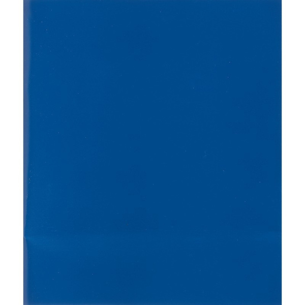 Тетрадь общая А5,48л,клет,скреп,обл.бумвинил,блок офсет-2 Синяя