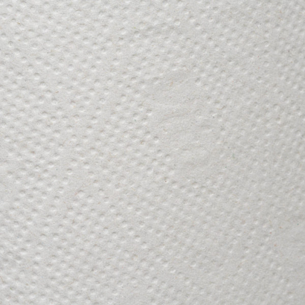 Бумага туалетная д/дисп 1сл сер макул втул 200м 12рул/уп 200N1