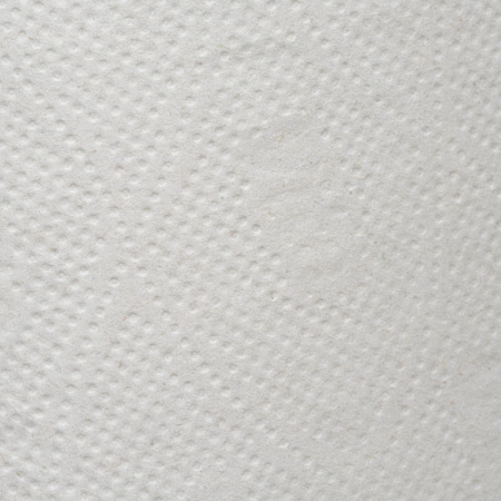 Бумага туалетная д/дисп 1сл сер макул втул 200м 12рул/уп 200N1