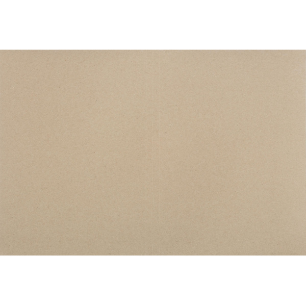 Папка-обложка ДЕЛО 190-210г/м2 немел, 100 шт/уп