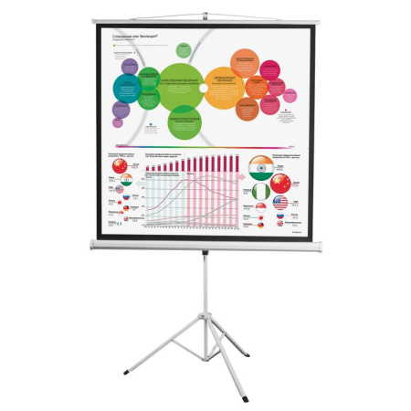 Экран Digis DSKD-1105 мобильный 1:1, 180х180