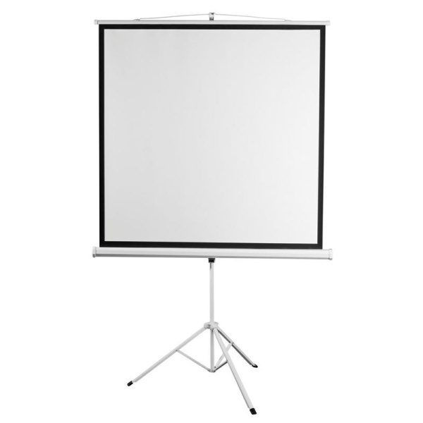 Экран мобильный Digis DSKD-1103, 1:1, 84 (156x159)