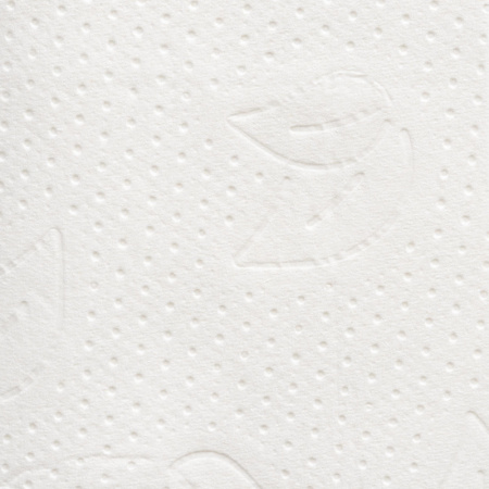 Бумага туалетная д/дисп Protissue 2сл 250лист 40 пачек в уп С249