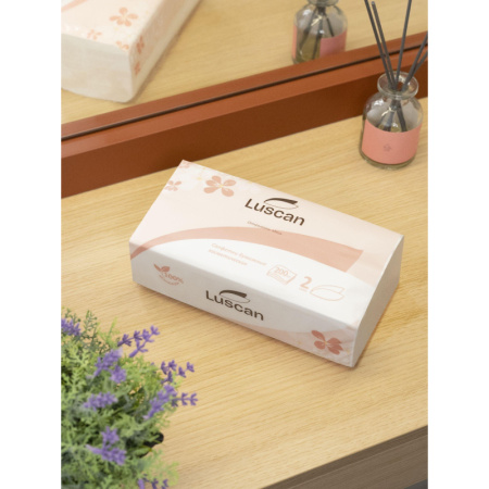 Салфетки косметические в пленке LUSCAN 2сл. 200 листов