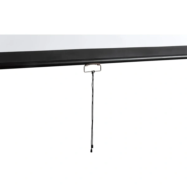 Экран настенный Digis DSOD-16906MW, 16:9, 120 (273x159)