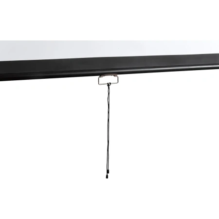 Экран настенный Digis DSOD-16906MW, 16:9, 120 (273x159)