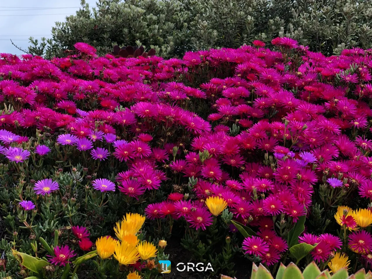 LADA (ВАЗ), Priora, 2000 г, 20000 км