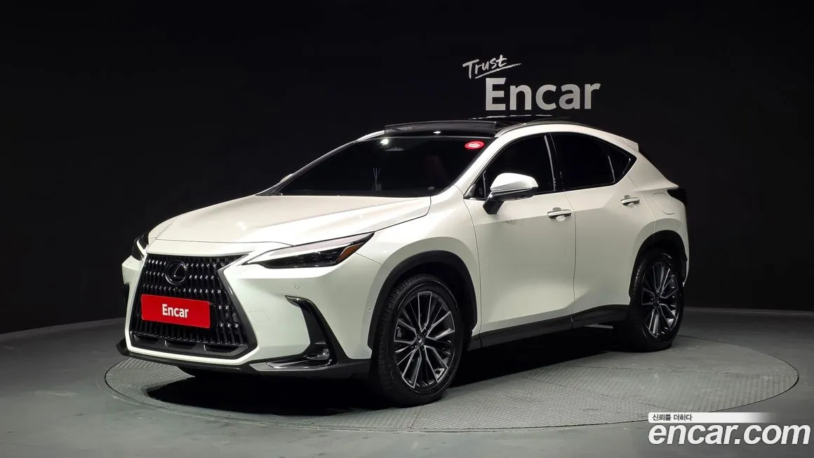 Lexus NX 2025