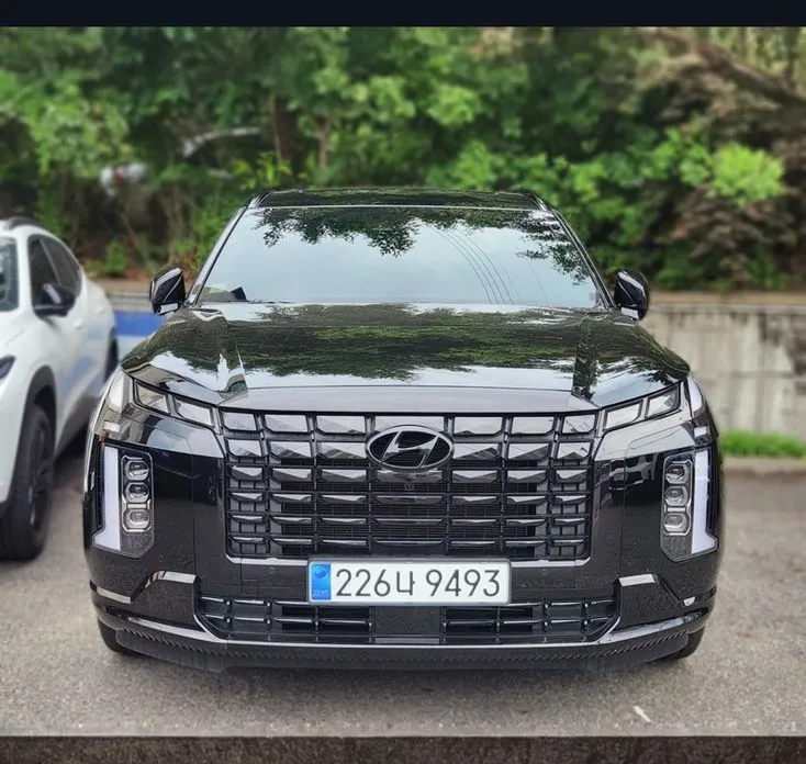 Hyundai Palisade 2024