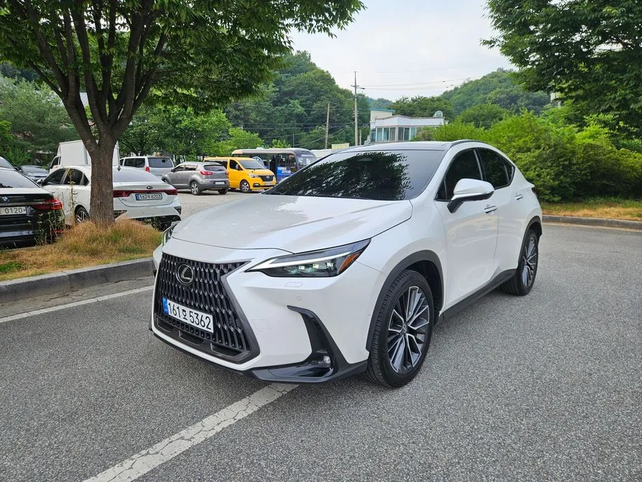 Lexus NX 2024