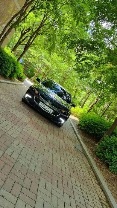 ChevroletGMDaewoo Malibu 2017