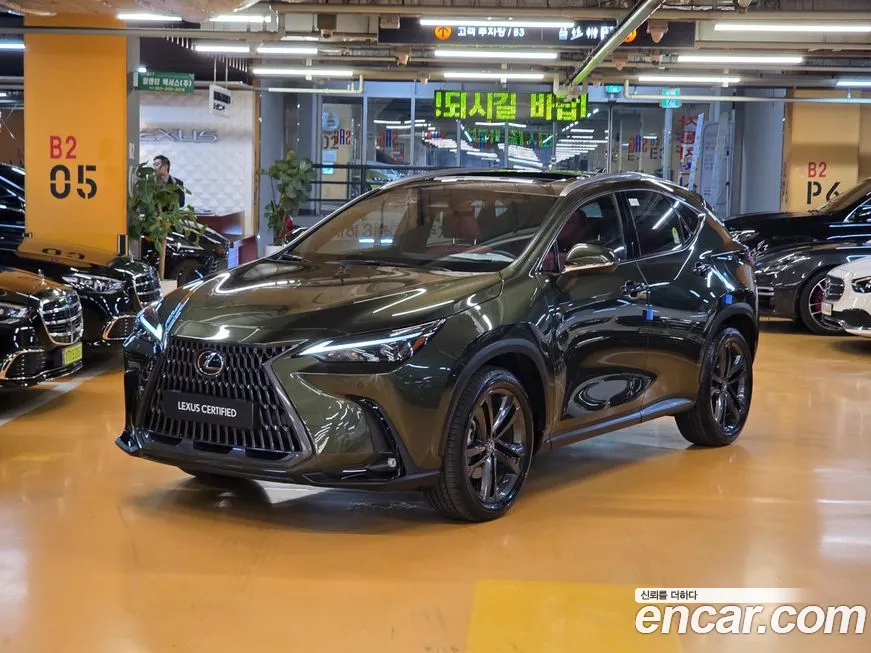 Lexus NX 2025