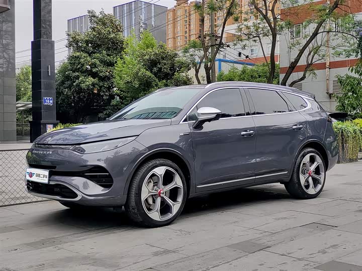 Denza X 2020 г. PHEVфлагманская версия_8.78