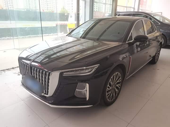 Hongqi H5 2024 2.0T