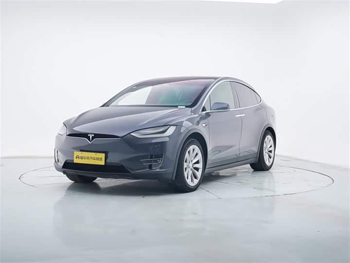 Tesla Model X 2020 г. _26.79