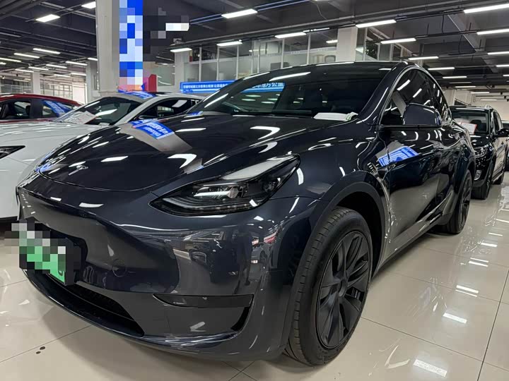 Tesla Model Y 2024 г. _14.89
