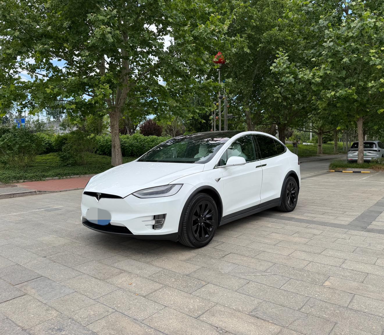 Tesla Model X 2016 г. 75D