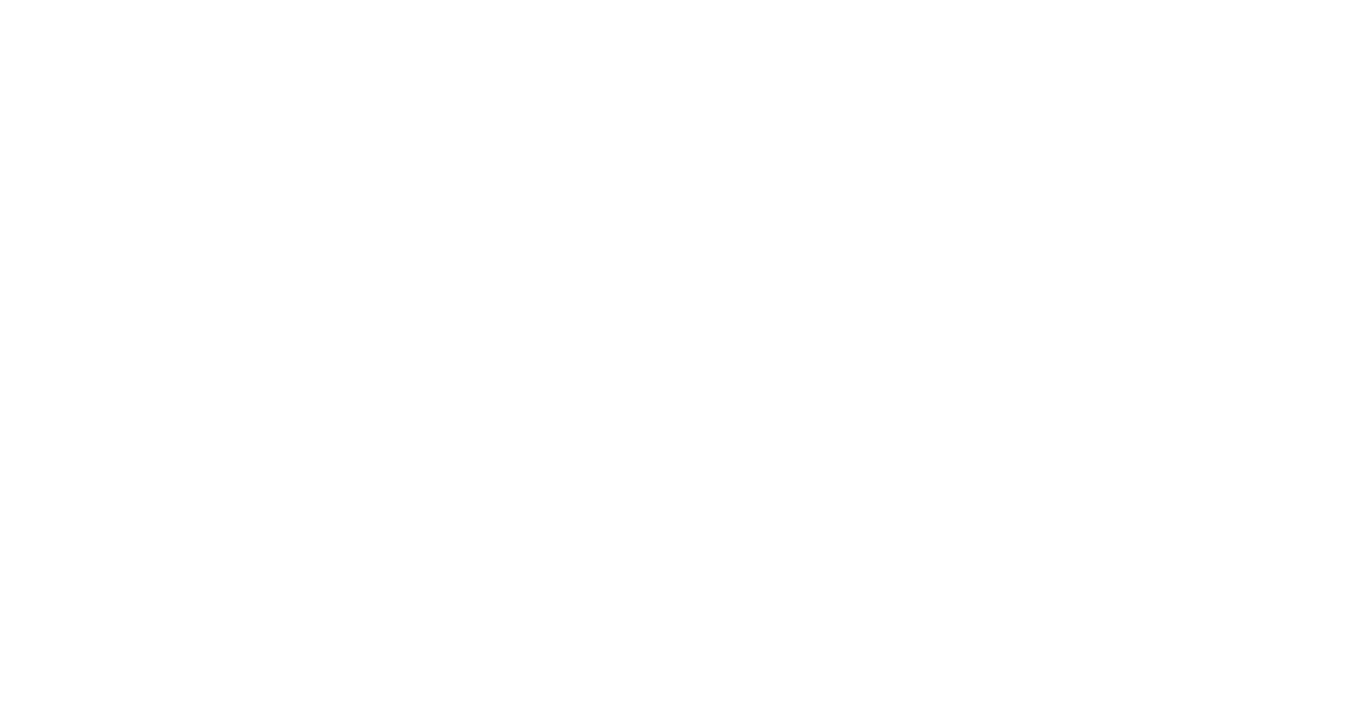 YAVO Logo