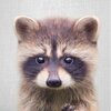 TANUKI