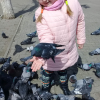 Наталья Петрова