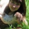 lipa-2006