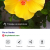 Ирен