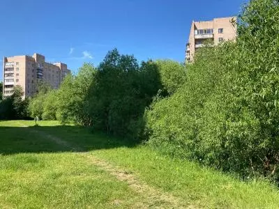 Зона отдыха вдоль Ижорки