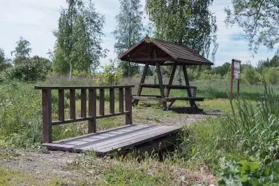Шунгеровский лесопарк