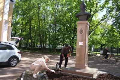 Чтобы цвёл муниципалитет