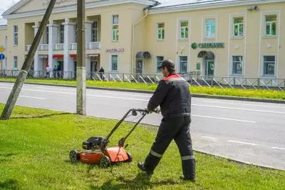 Покос травы