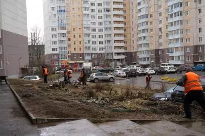 Уборка газонов