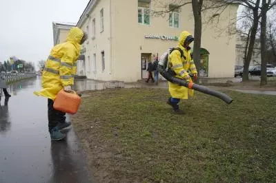 Дневник благоустройства