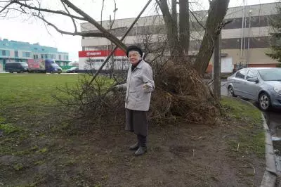 Генеральная уборка на Львовской, 23