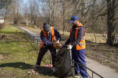 Дневник весенней уборки