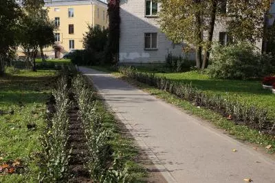 Благоустройство поселка